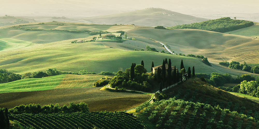 ITALIA, LA TIERRA DEL VINO POR EXCELENCIA